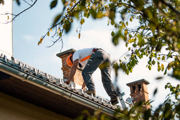Best Metal Roofing Contractor  in Anchor Point, AK