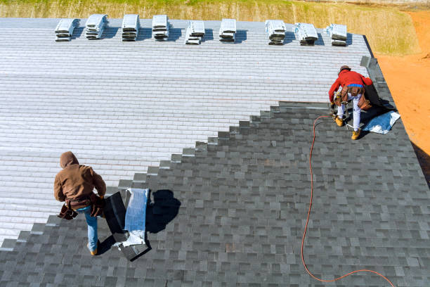 Best Shingle Roofing Installation  in Anchor Point, AK
