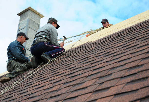 Best Roof Replacement Cost  in Anchor Point, AK