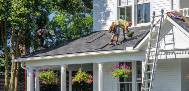 Best Roof Repair Services  in Anchor Point, AK