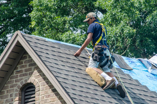 Best Roof Gutter Cleaning  in Anchor Point, AK